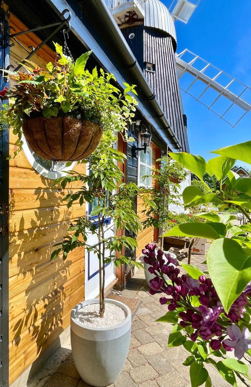 The Millers Cottage كامبريدج المظهر الخارجي الصورة